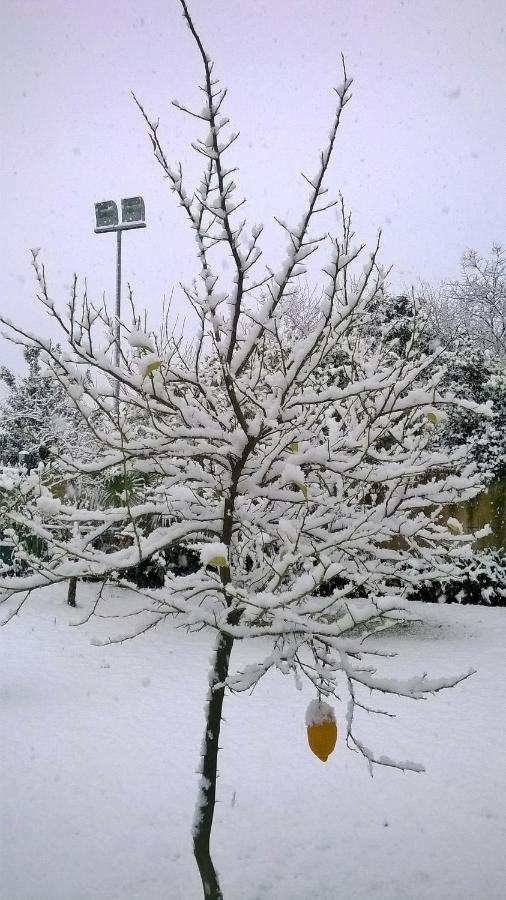 Hotel Ginevra Poggiomarino Luaran gambar